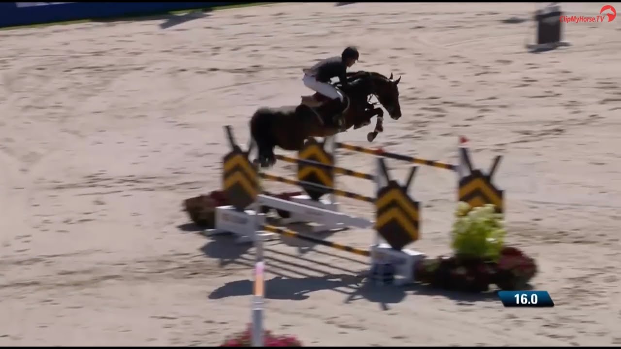 Uricas v/d Kattevennen v. Uriko und Harrie Smolders: Platz 3 im Grand Prix von Rotterdam