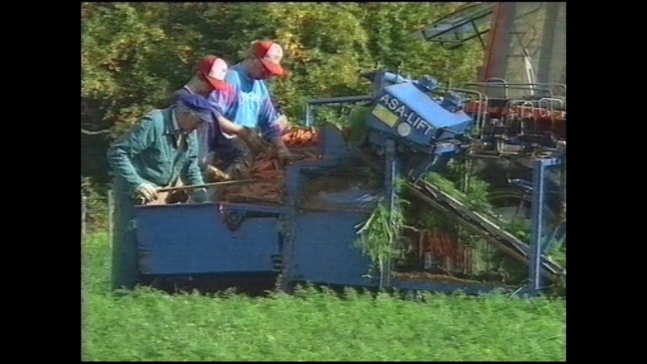 Mat Sverige - E05 Odlaren (SVT 1993-05-15)