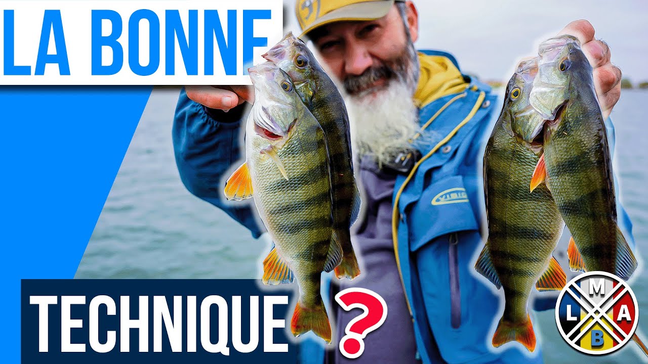 On pêche en DROP SHOT  et ça nous rapporte gros ! (pêche aux leurres en bateau )