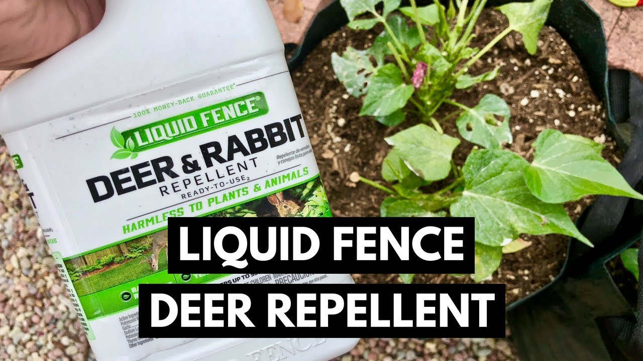 Liquid Fence Deer And Rabbit Repellent Review