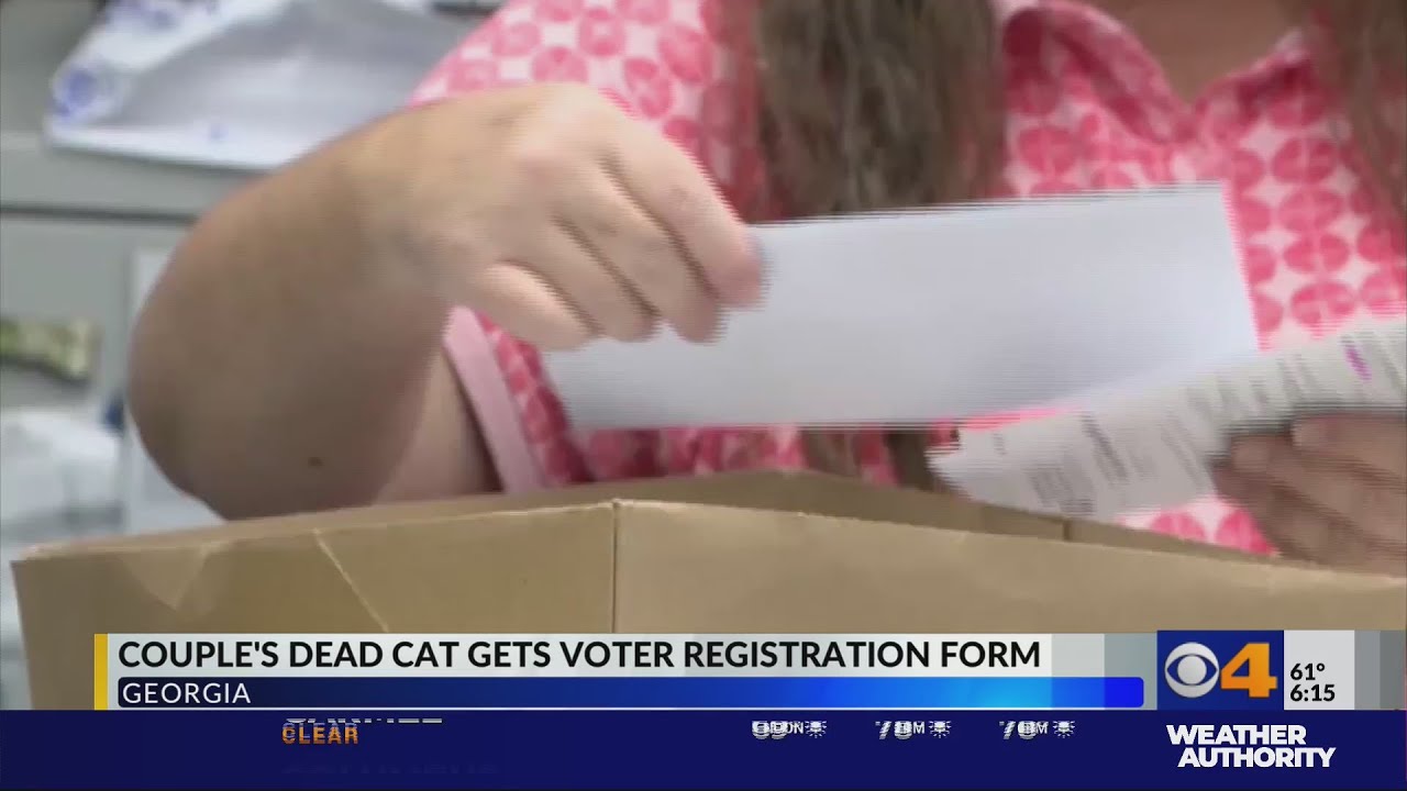 Dead cat gets voter registration application in mail