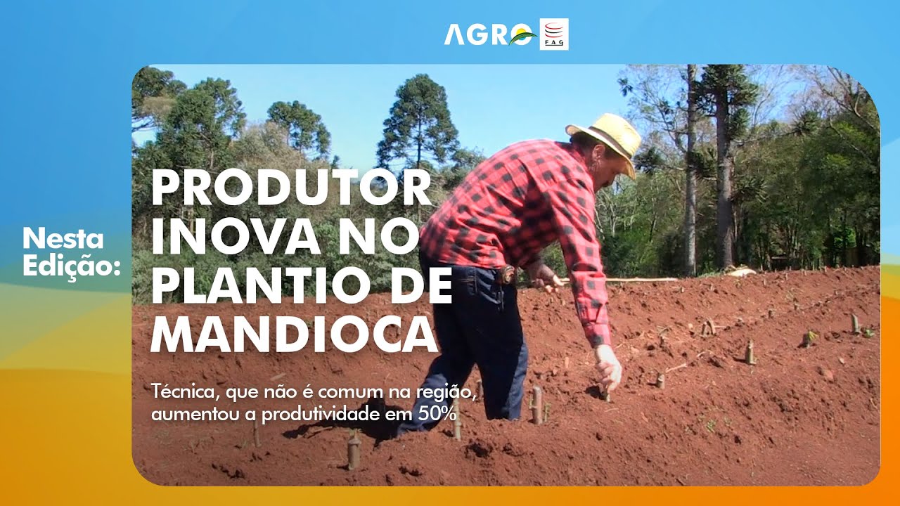 Programa Agro FAG: 63ª Edição -  Produtor inova no plantio da mandioca