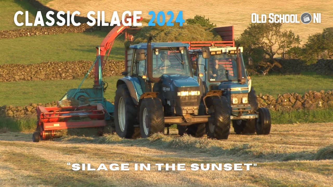 Silage 2024 - Classic Fords lifting grass near Slemish - 8360/7610