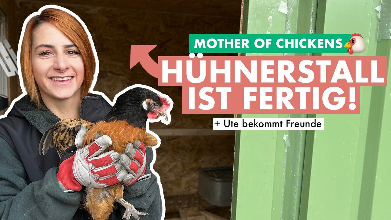 Die Hühner ziehen ein! Hühnerstall-Bau & Update 🐔
