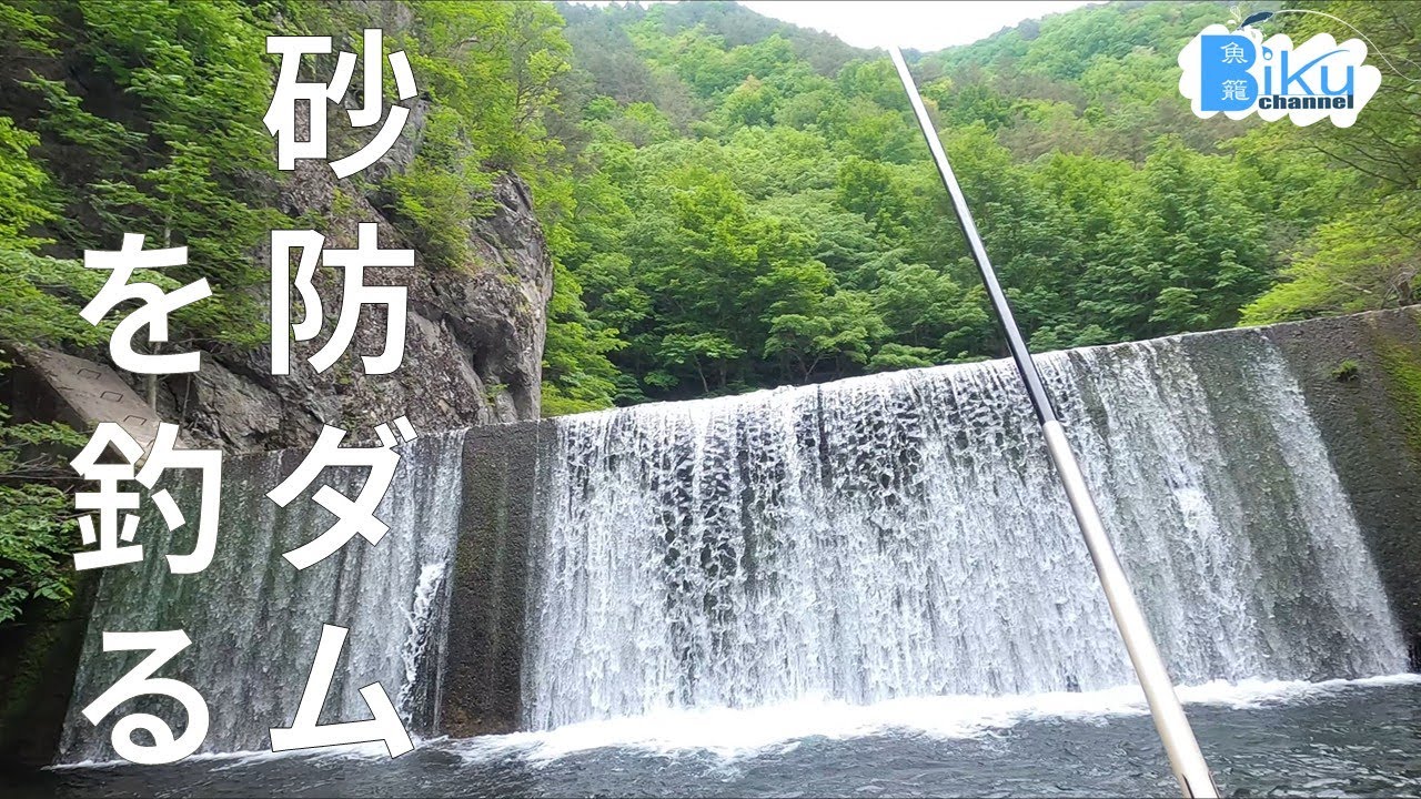 ドバミミズで砂防ダムを釣る【渓流エサ釣り】
