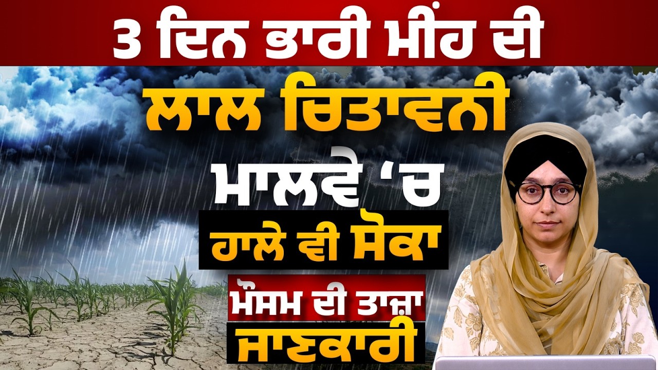 WEATHER REPORT l PUNJAB, HARYANA, HIMACHAL | 21 JULY । THE KHALAS TV