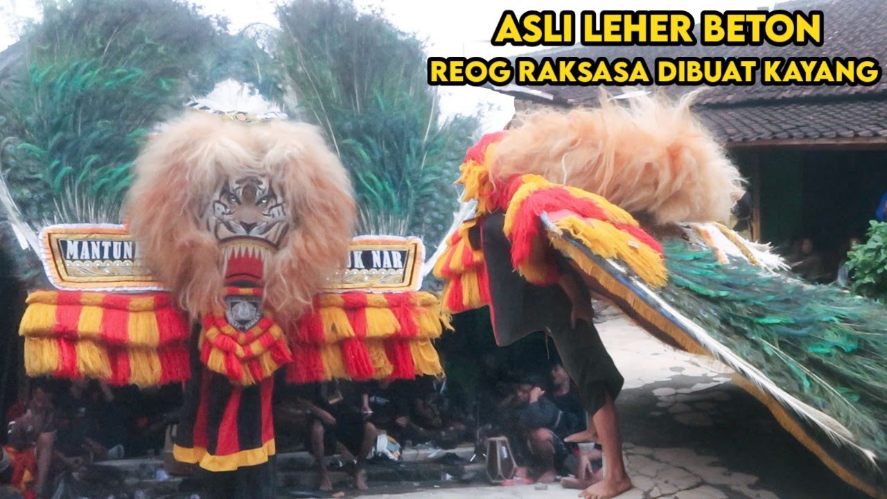 SPEKTAKULER ‼️ ATRAKSI HEBAT PEMBARONG KONDANG REOG PONOROGO TAKLUKKAN DADAK MERAK TERBESAR 