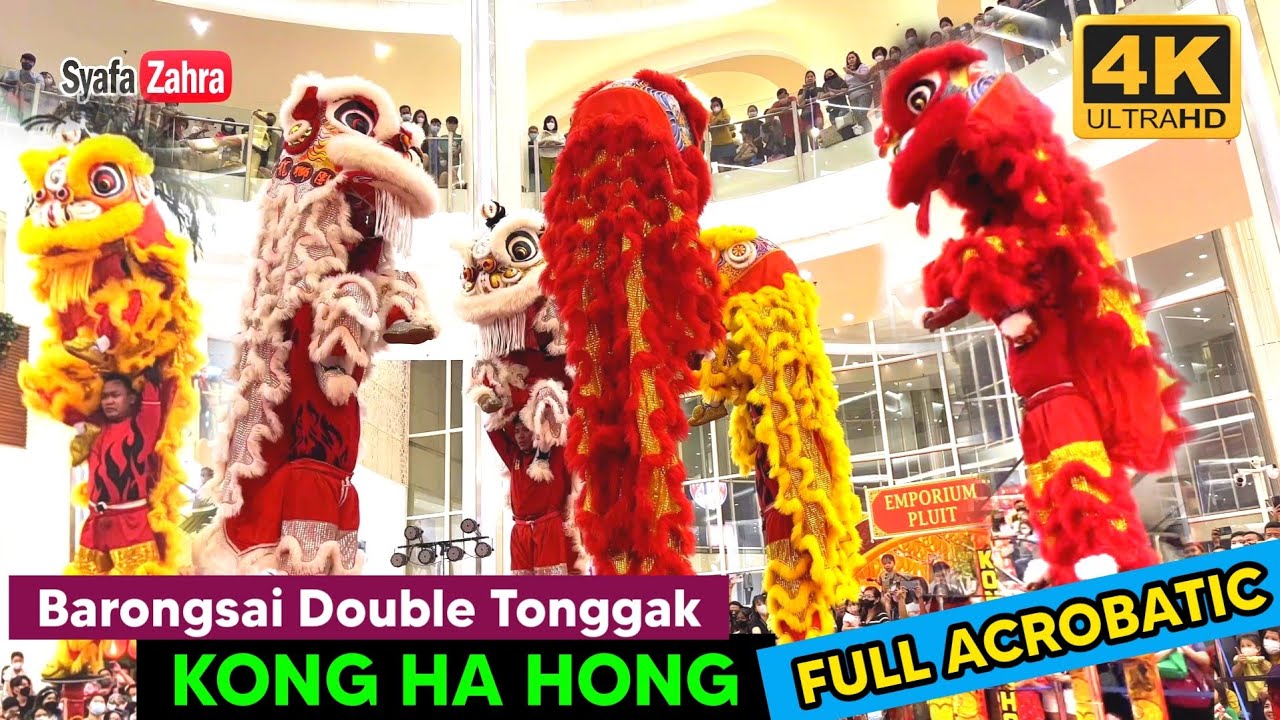 🔴 Best Acrobatic Lion Dance cny 2023 - Atraksi Barongsai Double Tonggak