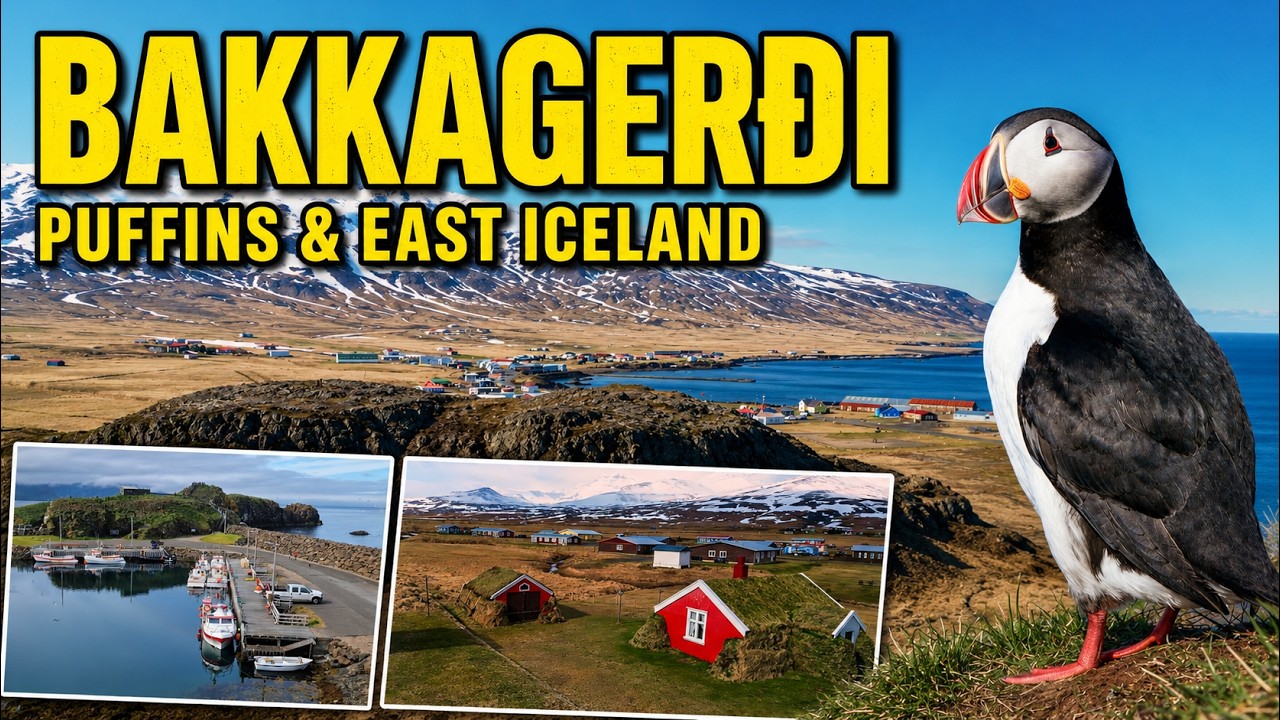 Bakkager&eth;i: Puffins, Elves & Coastal Trails in East Iceland | Icelandic Towns & Villages
