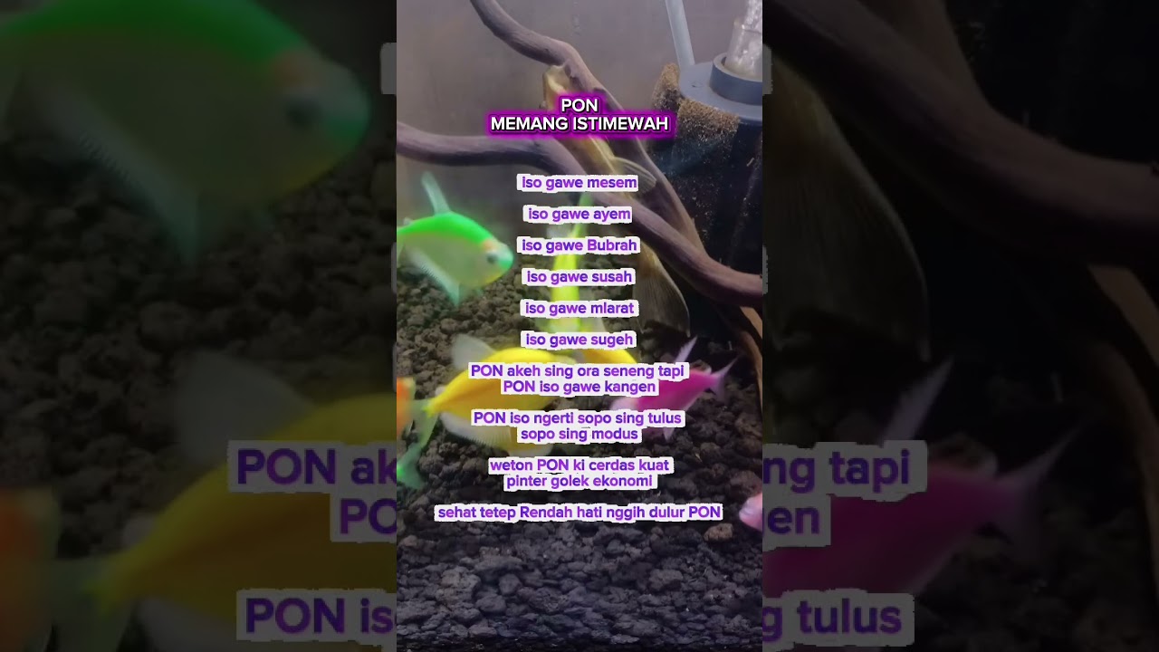 tetep rendah hati nggeh dulur PON 