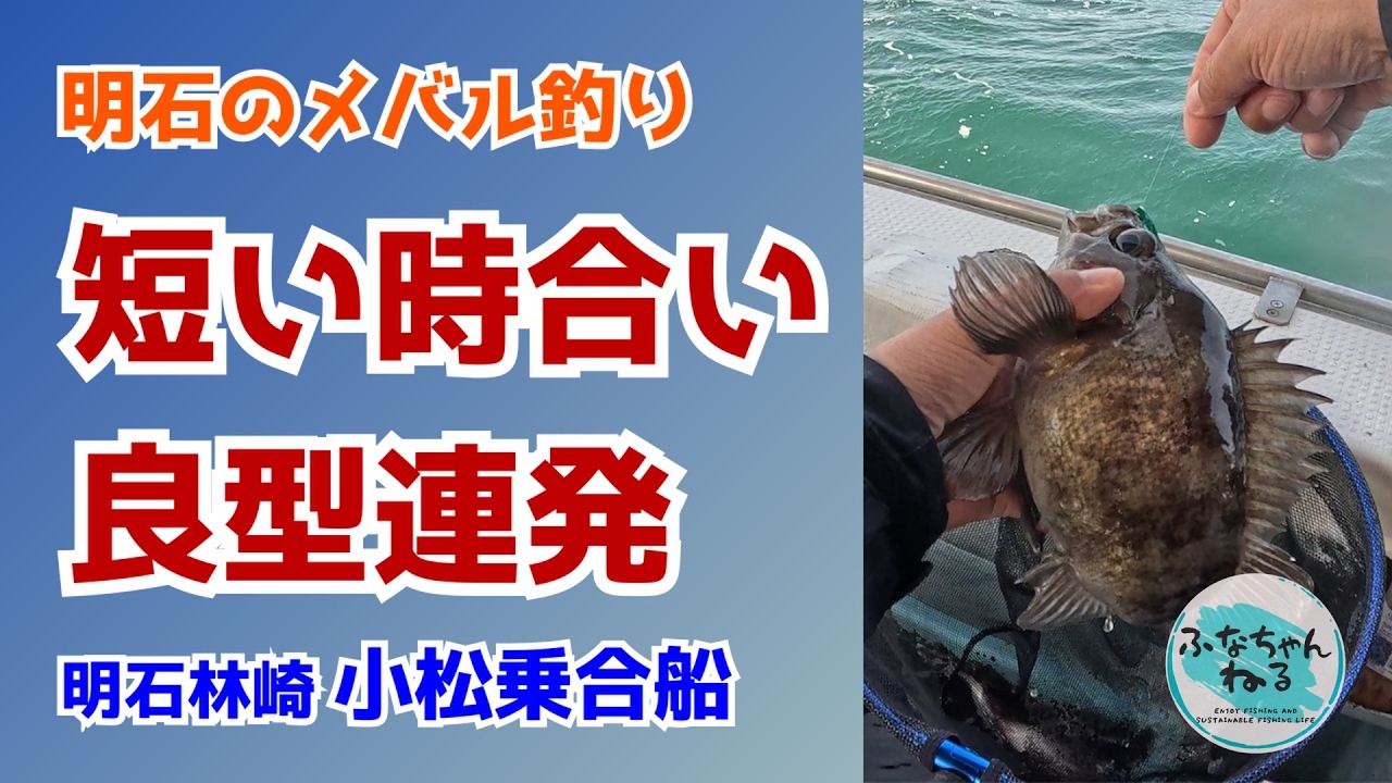 【メバル】メバル沈黙の中で掴んだ連発劇