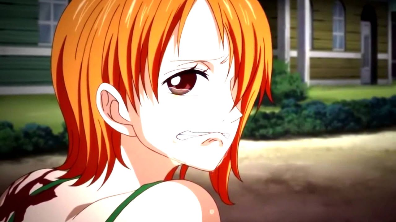 One piece [MEP] Carnivore