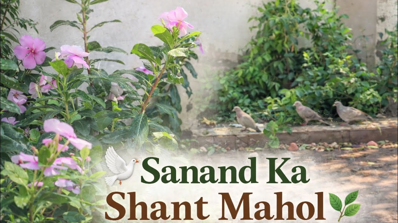 Sanand Me Naye Ghar Ka Nature Surprise! 😍🌿 Itna Shant Mahol & Itne Sare Birds!