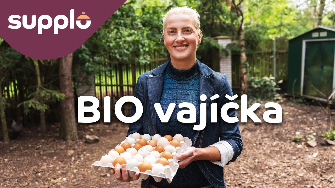 Jak vypadají prémiová BIO vajíčka divokých slepic | CocoKarl 🐓🥚