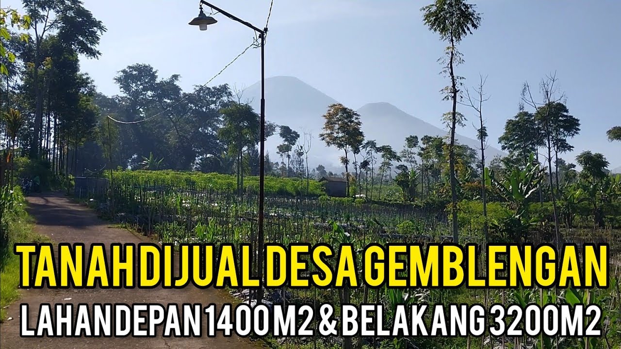 Tanah dijual di Desa Gemblengan Garung Wonosobo harga mulai 600rb/meter
