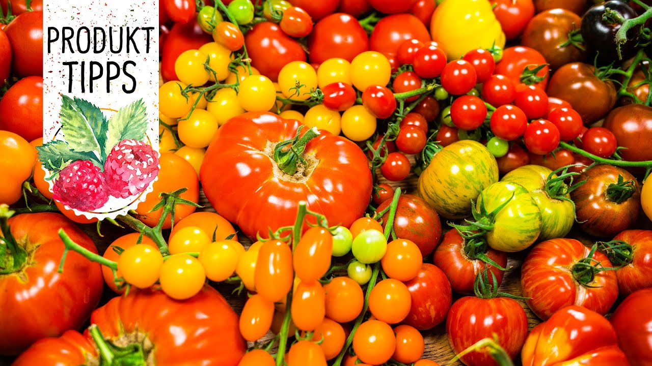 Tomaten f&uuml;r Garten & Balkon. Entdecke die Tomaten-Vielfalt von Volmary - ProduktTipps