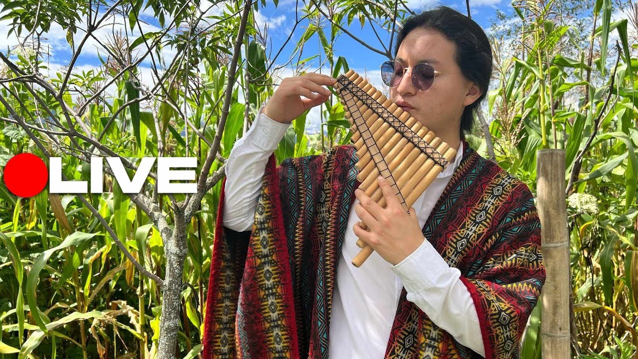🔴MARTES - Música Instrumental - LIVE 🎶🔥