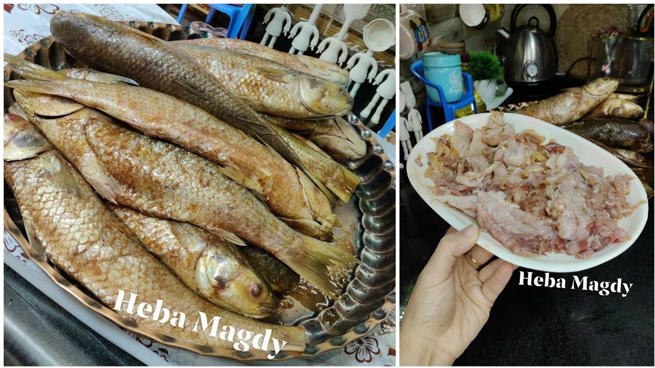 قاعدة لا بيا ولا عليا يتعمل كدة فيا😏