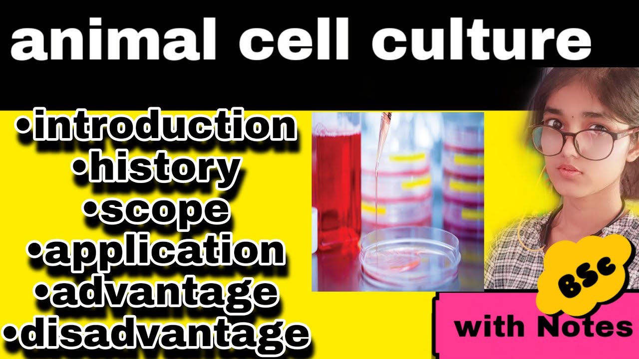 animal tissue culture introduction, history, application | bsc biotechnology with notes |