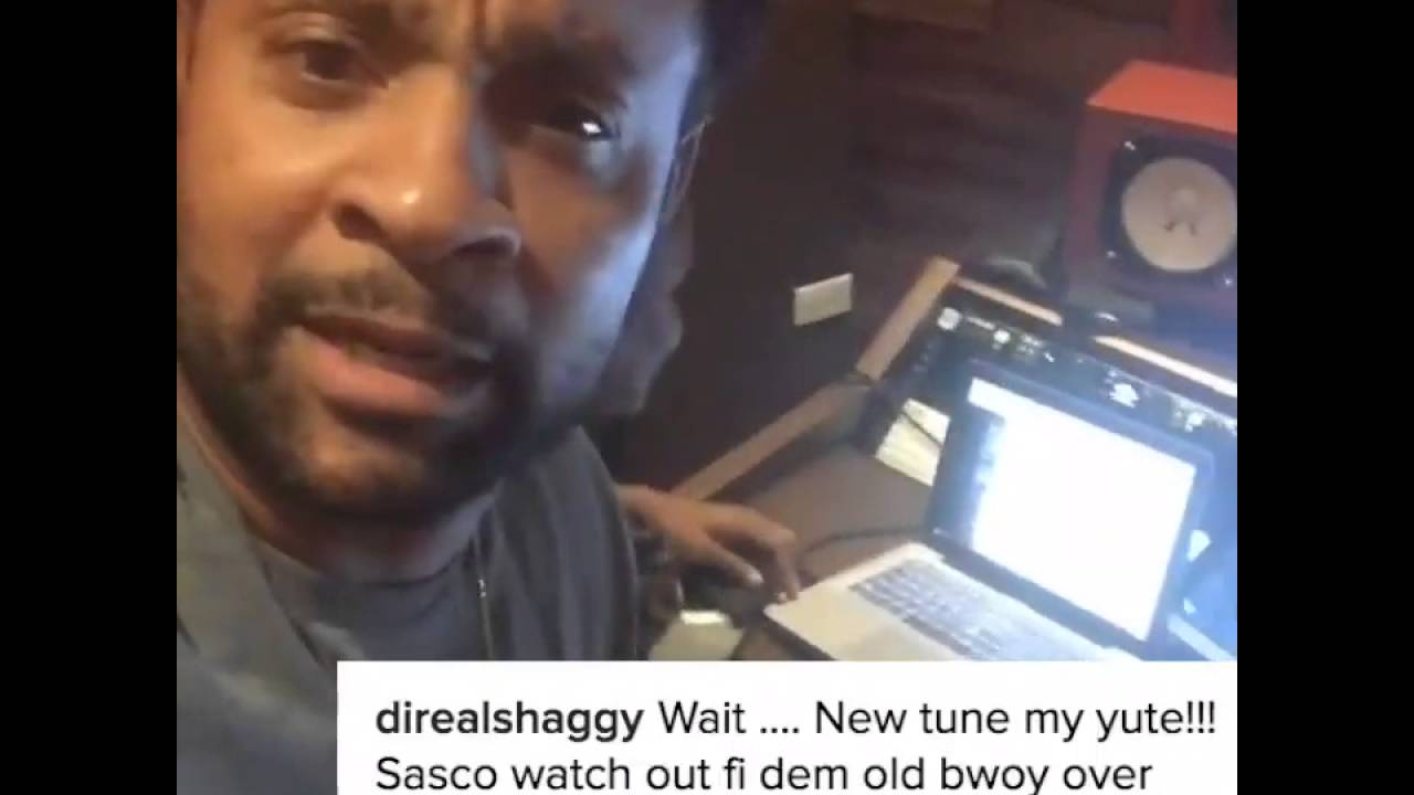 Assassin aka Agent Sasco Vs Shaggy - Instagram Clash!