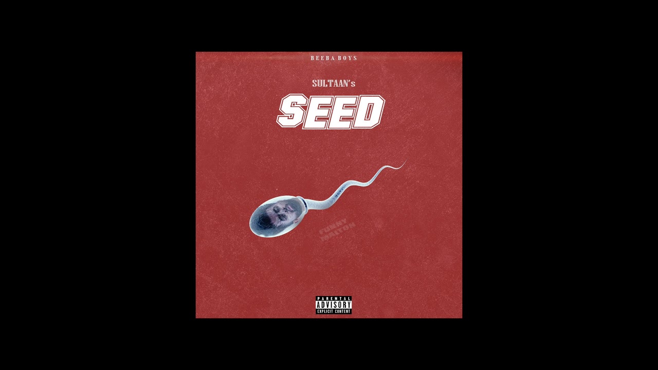 SEED - Sultaan Dhillon (Official Audio) | Explicit Version | Latest Punjabi Song 2020
