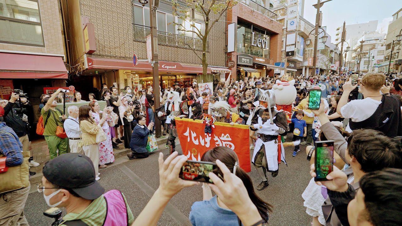 Tokyo Kagurazaka Bakeneko Festival (cats festival), Japan 2024・4K HDR