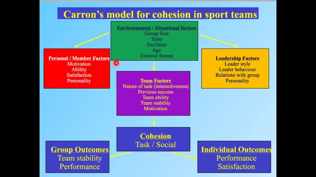 Group Cohesion