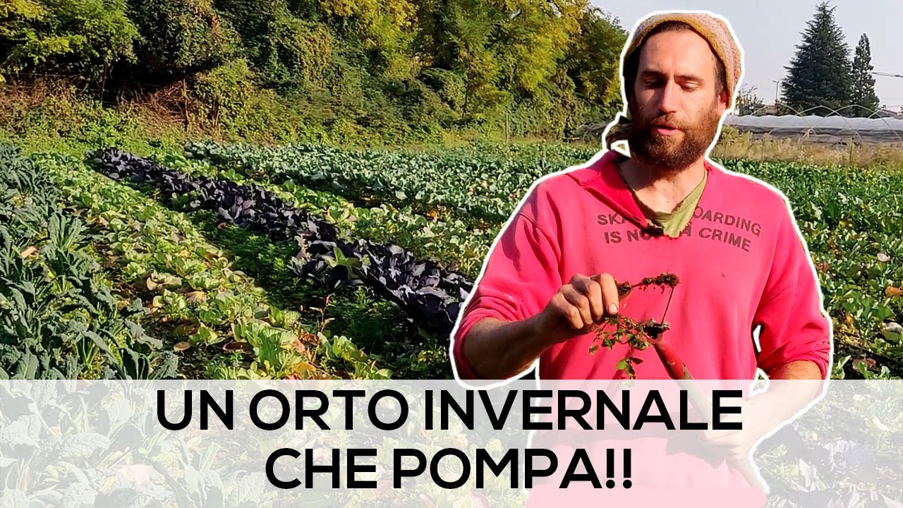 I SEGRETI degli ORTAGGI INVERNALI