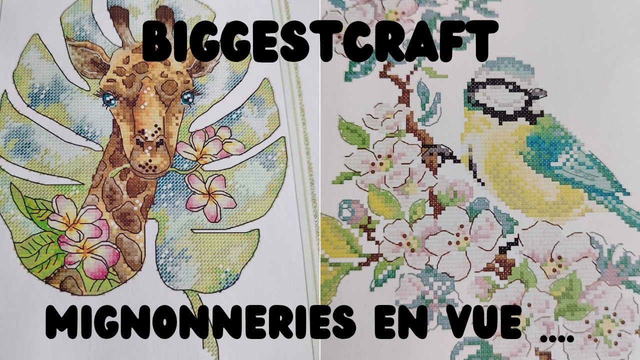 #biggestcraft #crossstitch #pointdecroix #broderie #embroidery #stampedcrossstitch #unboxing 