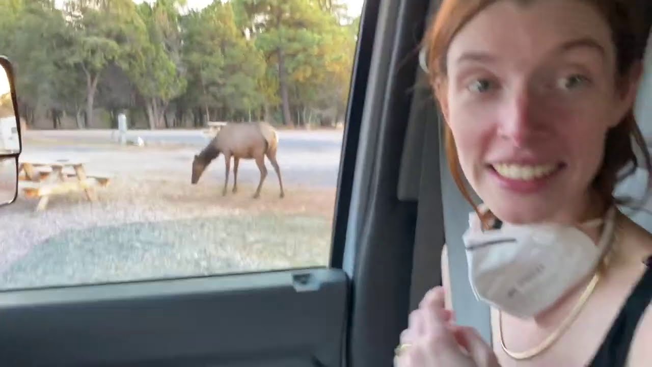 this was unbelievable (rv trip day 2)