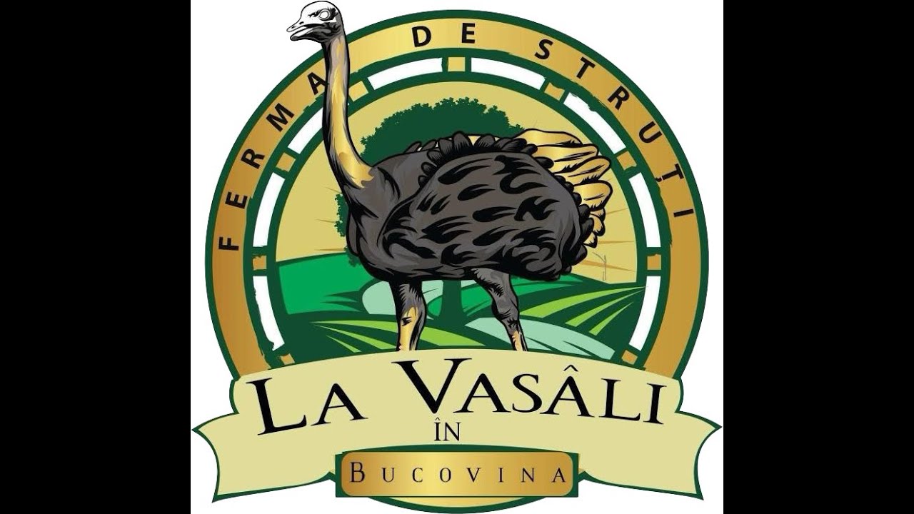 Ferma de Struti „La Vasâli” în Bucovina