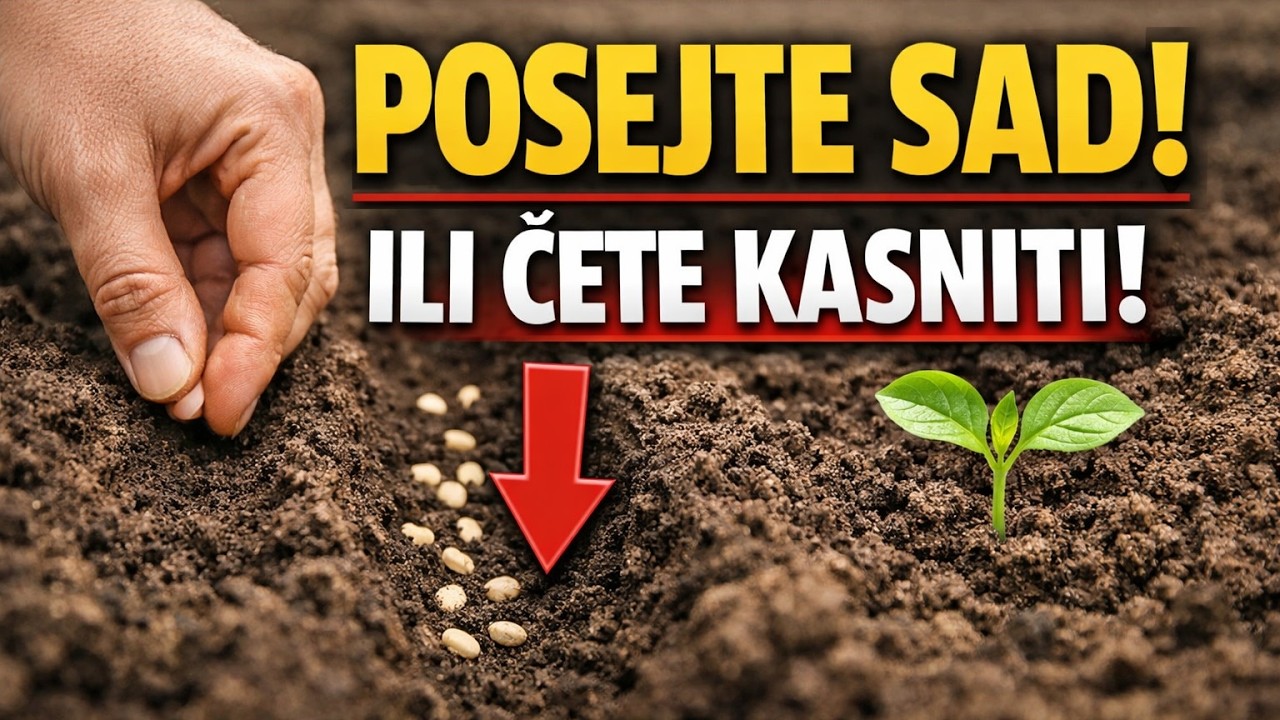 Ne Čekajte April! OVO Povrće MORATE Posejati Sredinom Marta za Rekordnu Berbu!