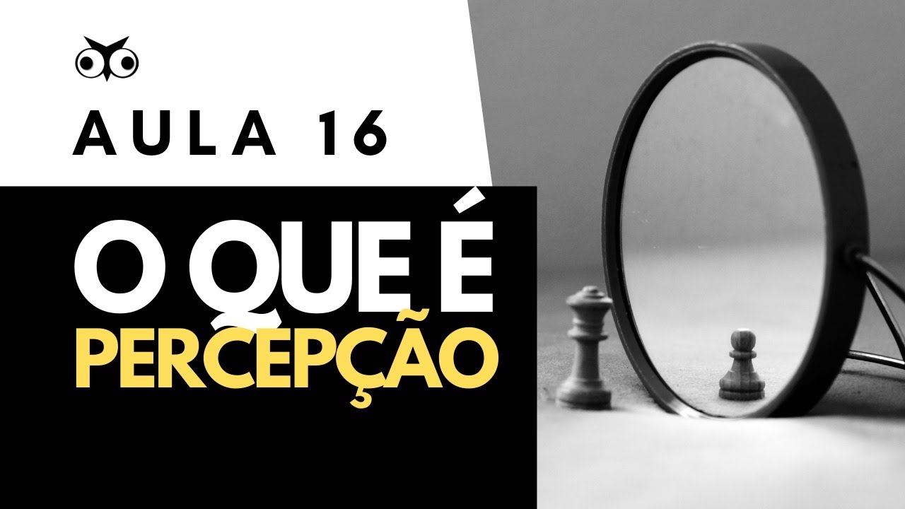 O que é percepção? | Introdução Geral à Filosofia | Prof. Vitor Lima | Aula 16