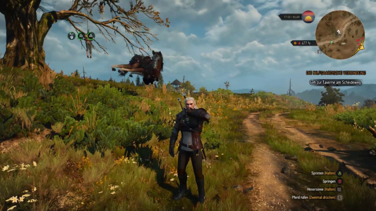 The Witcher 3:  Pl&ouml;tze /Roach with broken legs?!