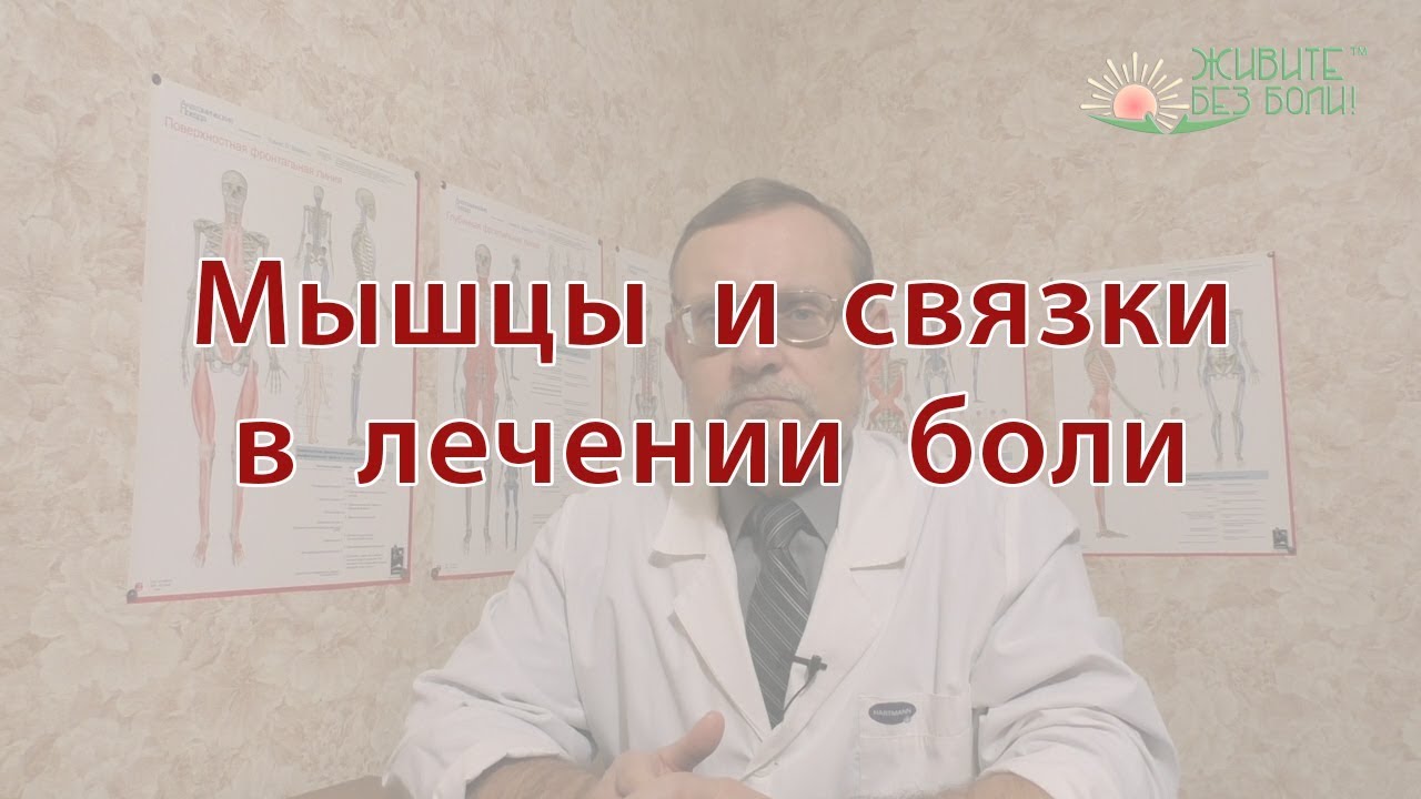 Мышцы и связки в лечении боли