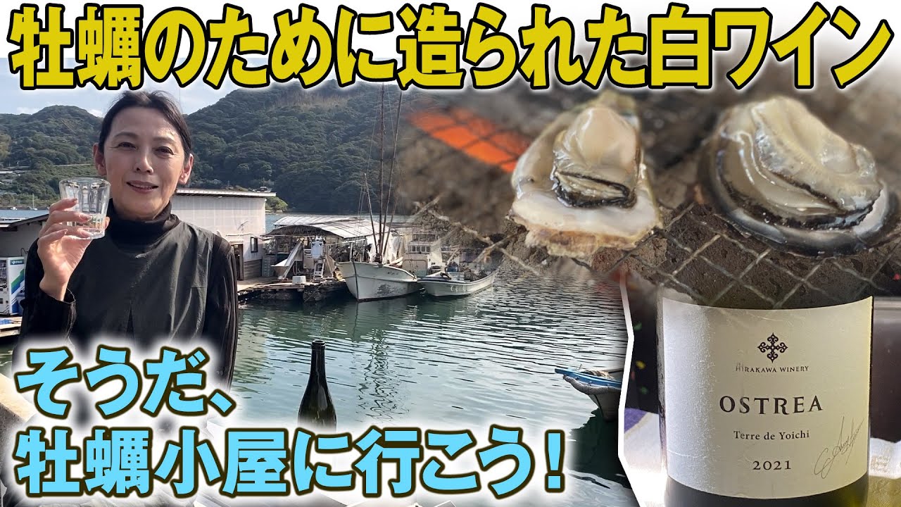 牡蠣のために作られた白ワイン【OSTREA】を牡蠣小屋で堪能してみた