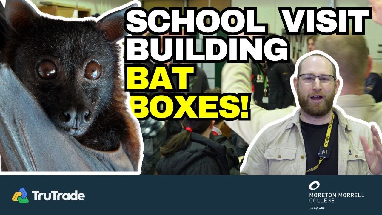 Building Bat Boxes with the Next Generation | Primary School Join Construction Students 🦇🔨