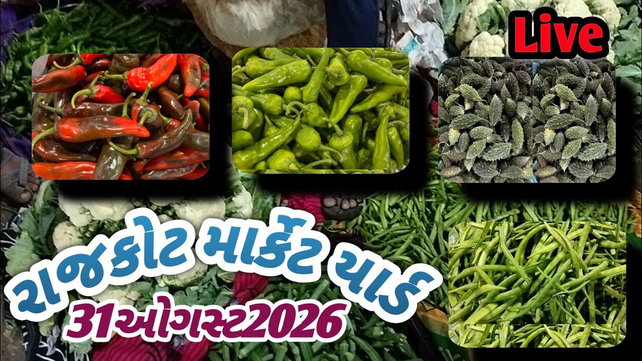 Rajkot market yard 31/08/2026 green vegetable price 