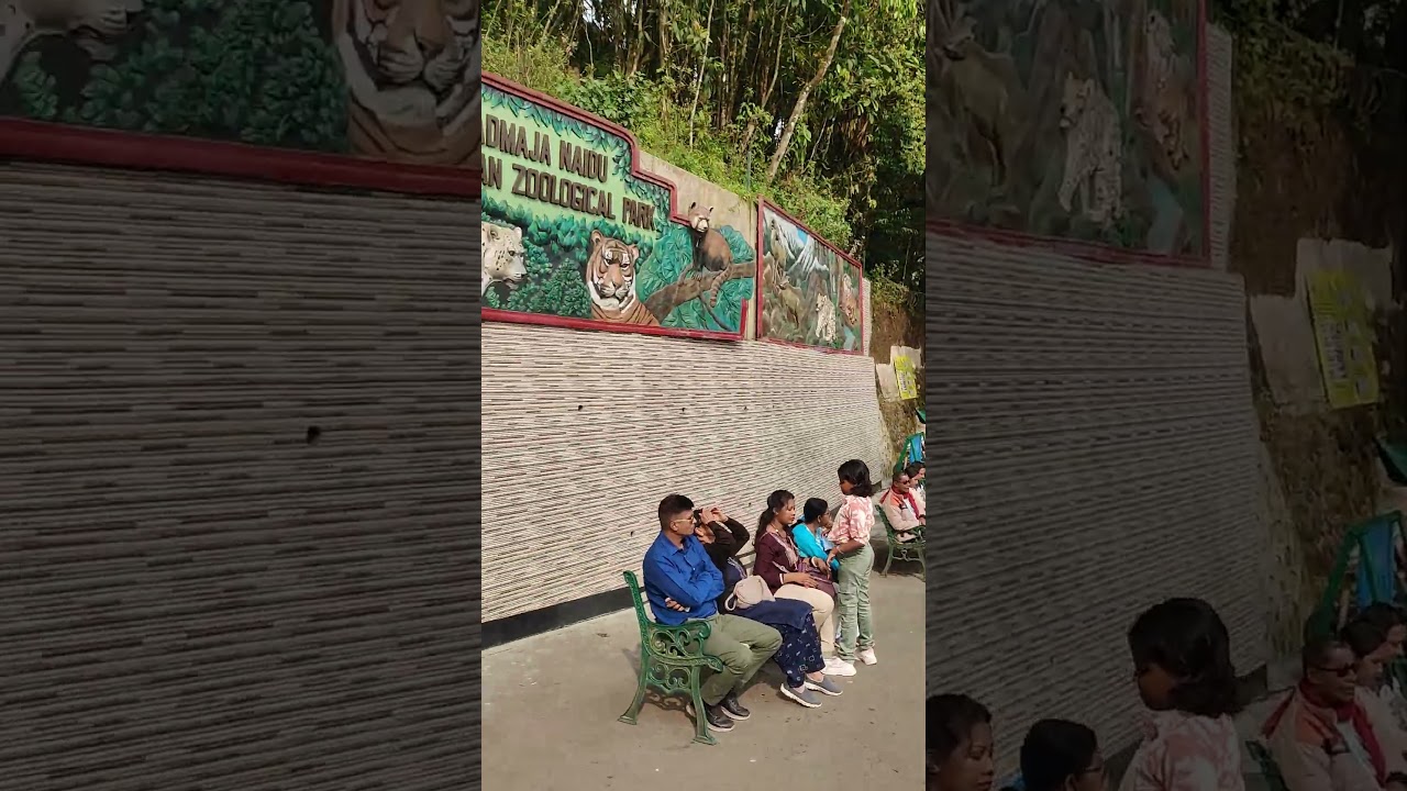 Darjeeling Zoo #zoo #darjeeling #reels #viralshort