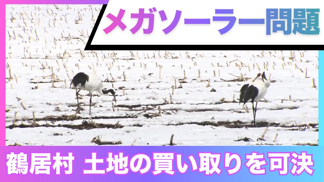 【メガソーラー問題に苦渋の決断】日本エコロジーから鶴居村が10.6ヘクタールの土地購入へ…土地代400万円だが支払額は補償含め約8000万円に　専門家「開発の規制強化を」〈北海道〉