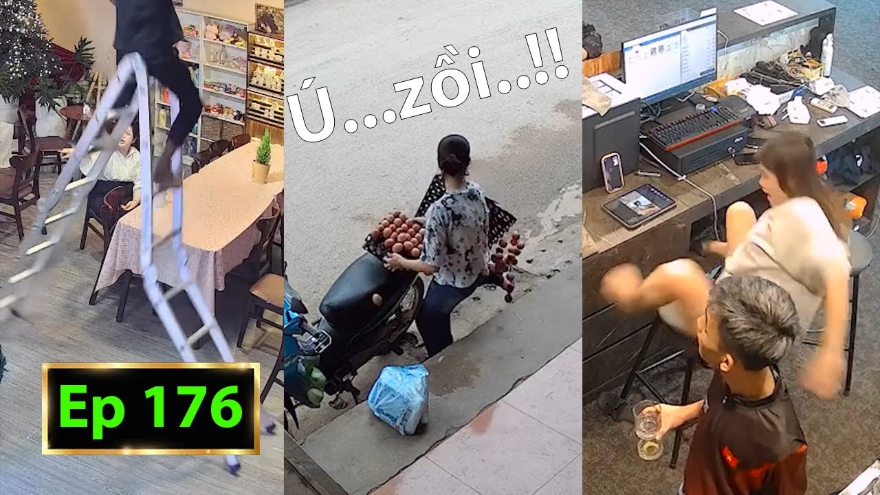 Hài Tin Việt 2025 Mới Nhất || Những Tình Huống Ngu Nhất Hành Tinh Cười Vỡ Bụng Phần 176.