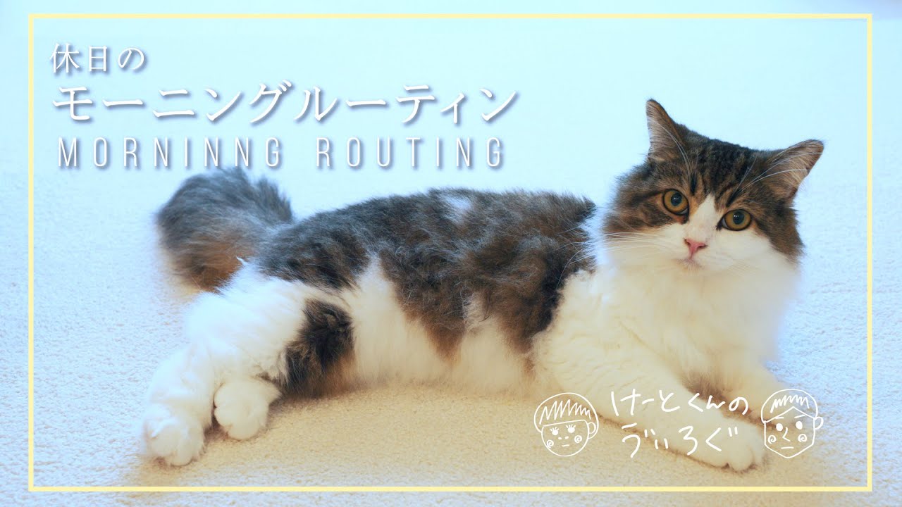 猫と夫婦の休日モーニングルーティン
