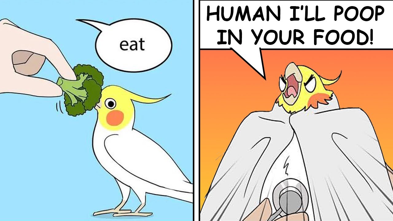 Funny Comics With Parrot Thought Twist #6 | Parrot Comic Dub