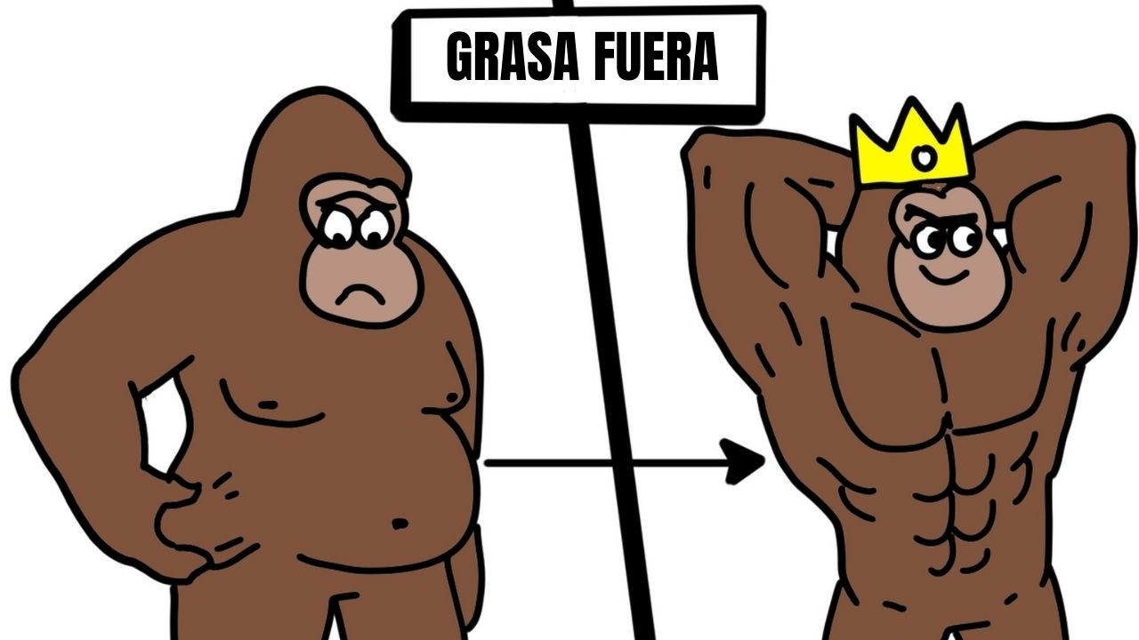 10 TRUCOS de SIMIO para PERDER GRASA RÁPIDO (sin volverte loco)