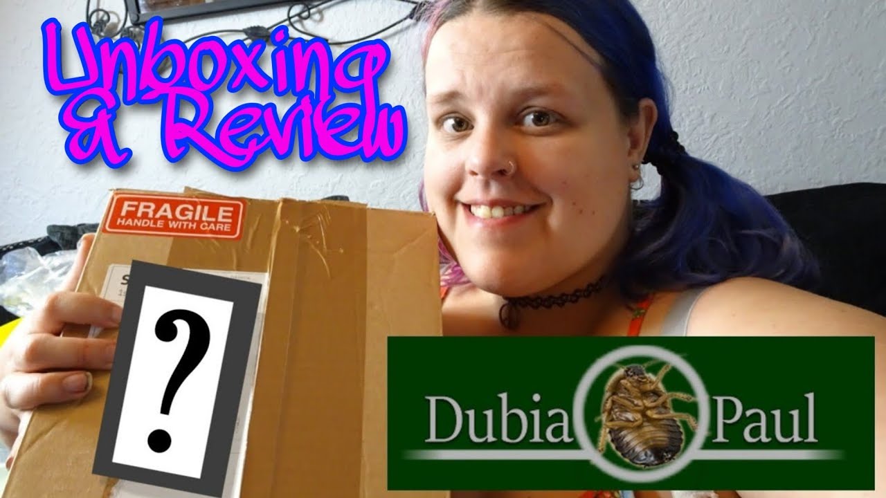 Unboxing and Review Live Reptile Feeders from Dubia Paul