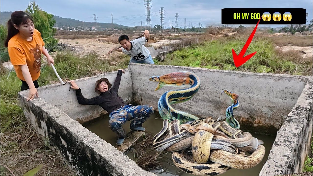 Brave Hunters Rescue 100 Dragon Snakes Trapped in Deep Water Tank