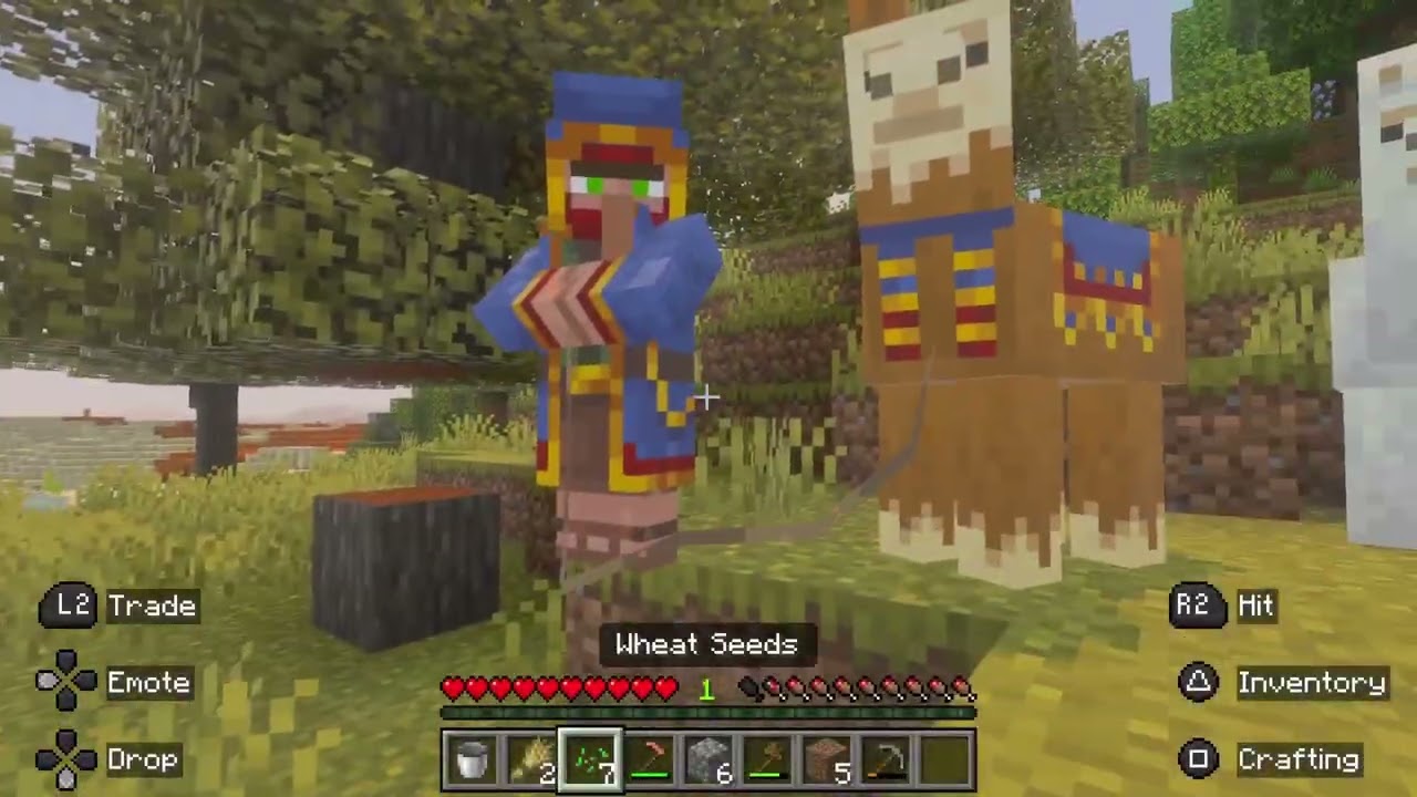 Minecraft