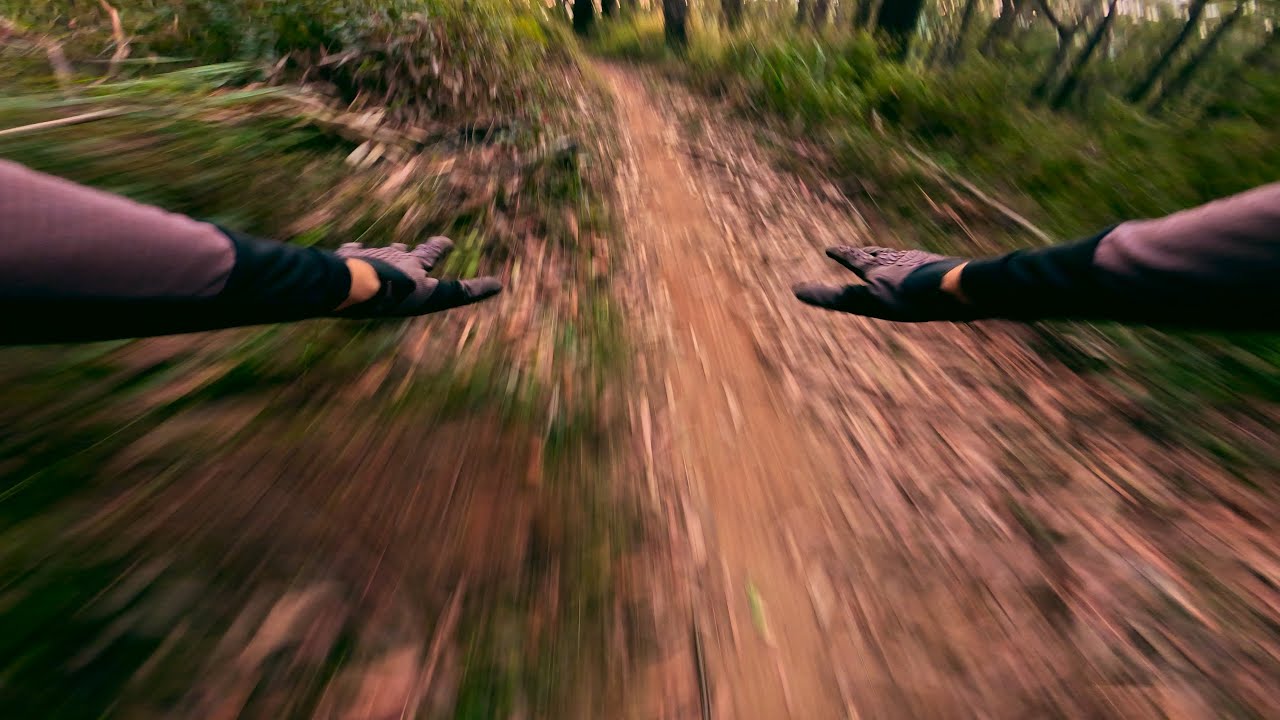 Warby DH Trails And CRASH