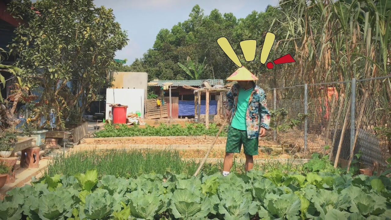 Quá trình một ngày trồng cây và một ngày làm màu sẽ như thế nào?