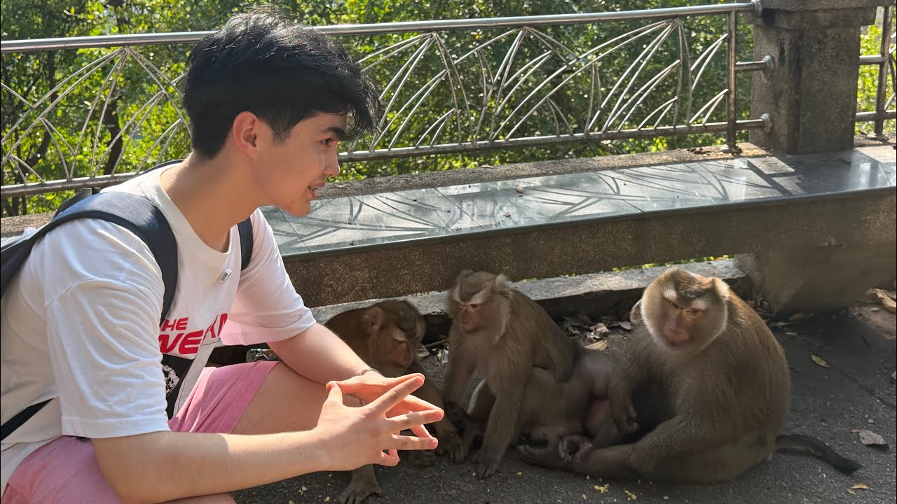 Tailand Vlog | Xitoylik Do’stim Bilan Phuketni Mashxur Joylariga Bordik